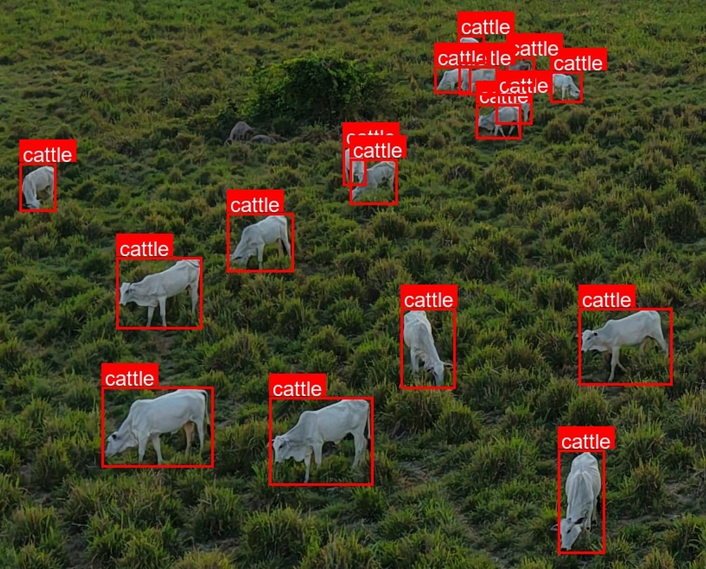 Imagem aérea da propriedade
