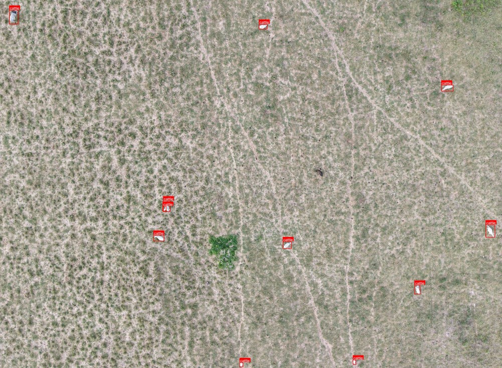 Mapa gerado a partir de imagens de drone