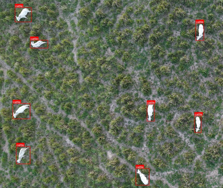 Análise de dados geoespaciais